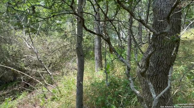 LOT 650 Kaukonahua Ln, Bastrop, TX 78602