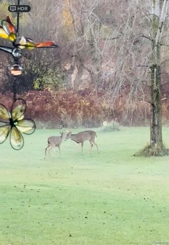 2470 E Baldwin Road, Grand Blanc Charter Township, MI 48439