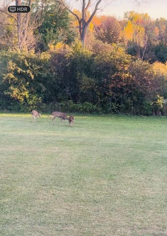 2470 E Baldwin Road, Grand Blanc Charter Township, MI 48439