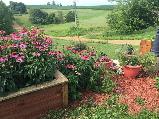 S6966 Johnson Avenue, Viroqua, WI 54665