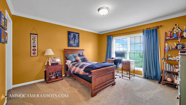 3N651 James Fenimore Cooper Lane, St. Charles, IL 60175