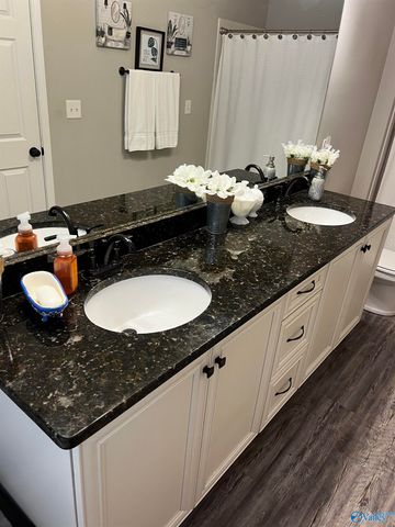 123 County Road 176, Moulton, AL 35650