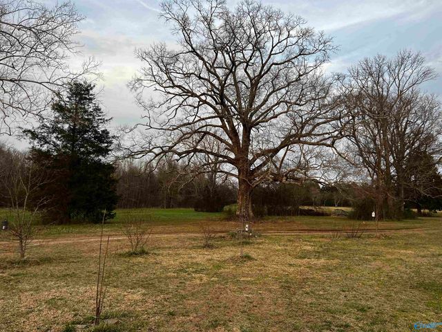 123 County Road 176, Moulton, AL 35650