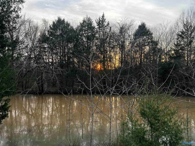 123 County Road 176, Moulton, AL 35650