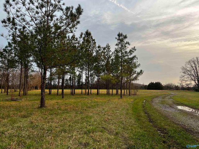 123 County Road 176, Moulton, AL 35650