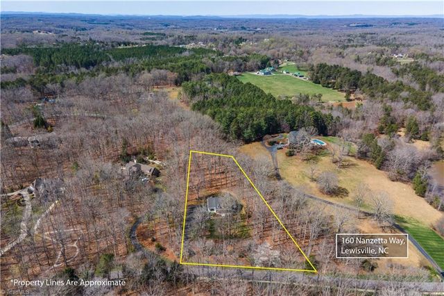 160 Nanzetta Way, Lewisville, NC 27023