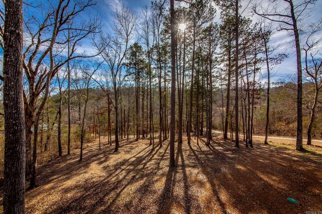 184 Guffey Lane, Shirley, AR 72153