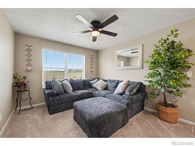 6851 Whisper Trail Lane, Wellington, CO 80549