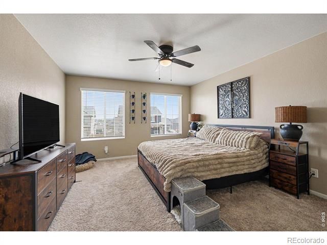 6851 Whisper Trail Lane, Wellington, CO 80549