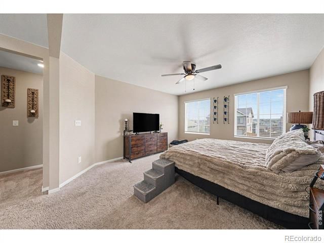 6851 Whisper Trail Lane, Wellington, CO 80549