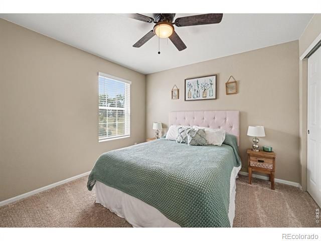 6851 Whisper Trail Lane, Wellington, CO 80549