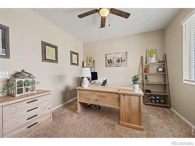 6851 Whisper Trail Lane, Wellington, CO 80549