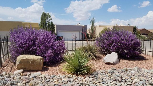 891 Chateau Drive, Las Cruces, NM 88005