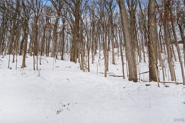 165 Brookside Lane, Manlius, NY 13066