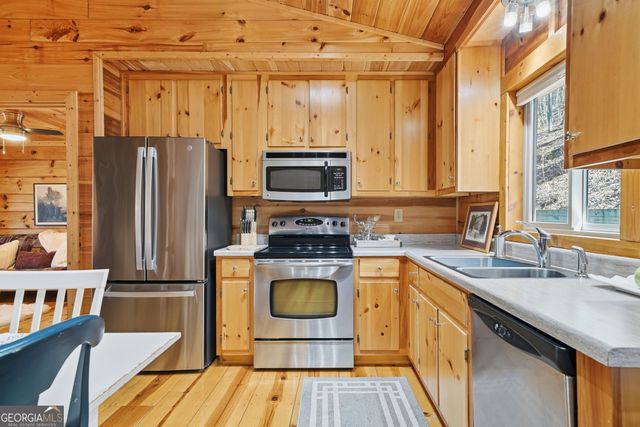 266 Chimney Rock Road 462, Cherry Log, GA 30522