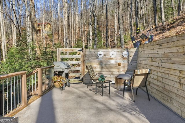 266 Chimney Rock Road 462, Cherry Log, GA 30522