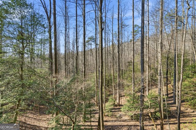 266 Chimney Rock Road 462, Cherry Log, GA 30522