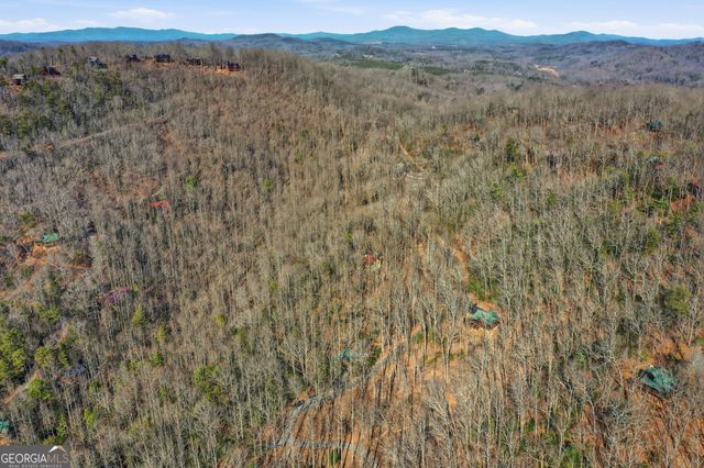 266 Chimney Rock Road 462, Cherry Log, GA 30522