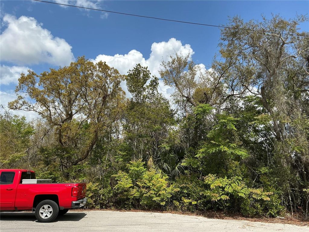 ASH PASS RUN, Ocala, FL 34472