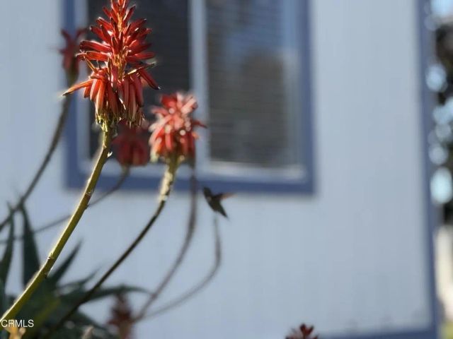 4499 Copland 51, Ventura, CA 93003