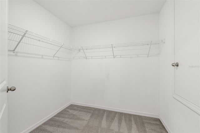 5406 AMARYLLIS GARDEN STREET, Apollo Beach, FL 33572