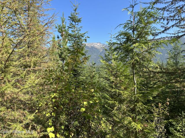 NKA Tract 5 USFS 2294, Clark Fork, ID 83811