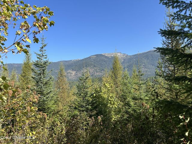 NKA Tract 5 USFS 2294, Clark Fork, ID 83811