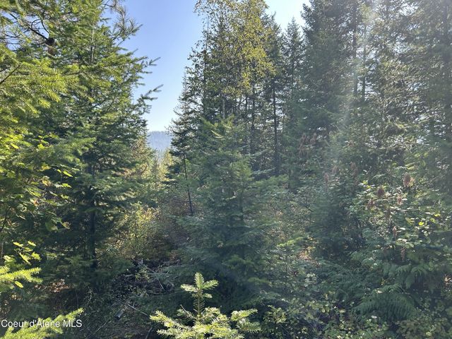 NKA Tract 5 USFS 2294, Clark Fork, ID 83811