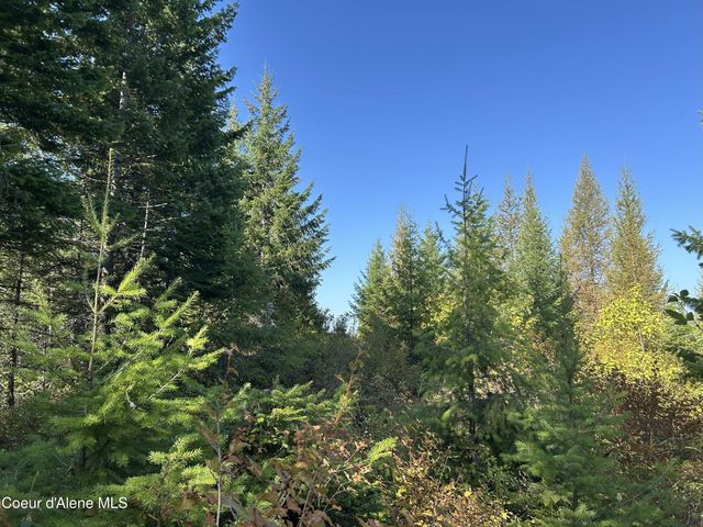 NKA Tract 5 USFS 2294, Clark Fork, ID 83811