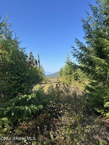 NKA Tract 5 USFS 2294, Clark Fork, ID 83811