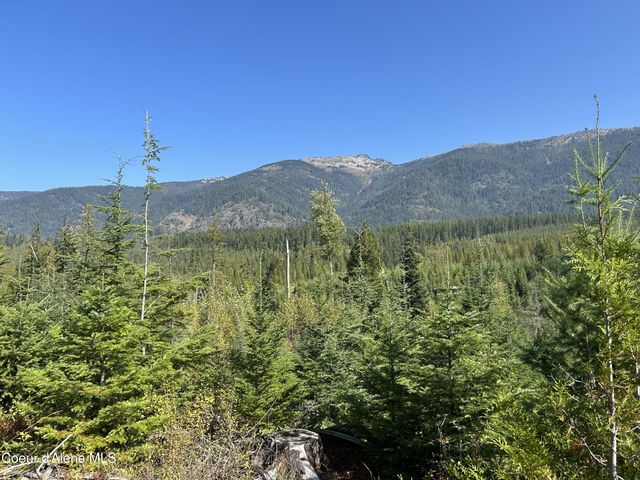 NKA Tract 5 USFS 2294, Clark Fork, ID 83811