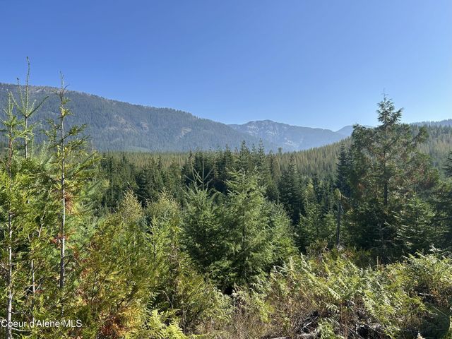NKA Tract 5 USFS 2294, Clark Fork, ID 83811