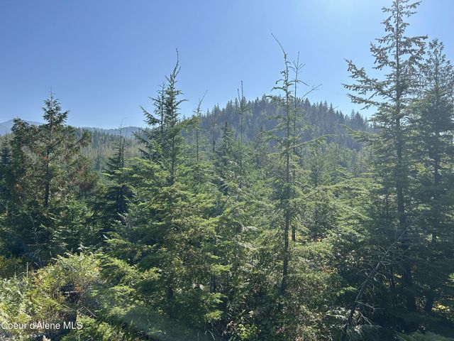 NKA Tract 5 USFS 2294, Clark Fork, ID 83811