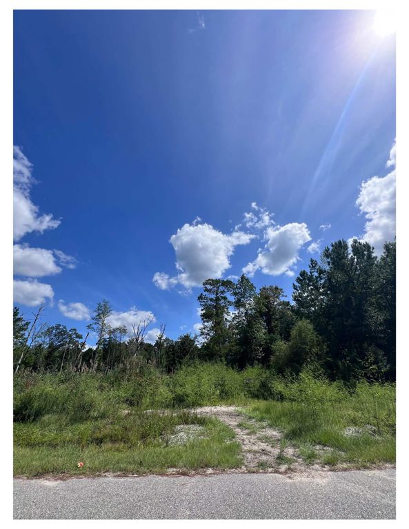 1223 Rainbow Dr., Loris, SC 29569 — exterior