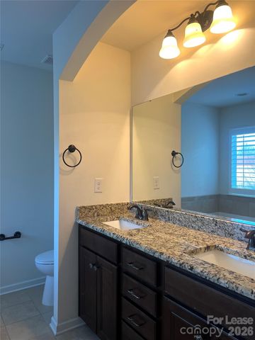 13259 Savannah Point Drive, Charlotte, NC 28273