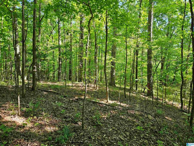 0 MARDIS LANE, Springville, AL 35146