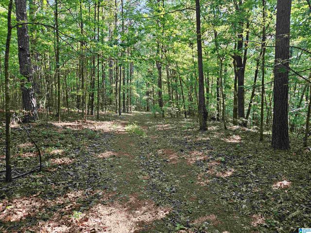 0 MARDIS LANE, Springville, AL 35146