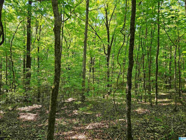 0 MARDIS LANE, Springville, AL 35146