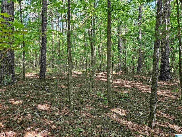 0 MARDIS LANE, Springville, AL 35146