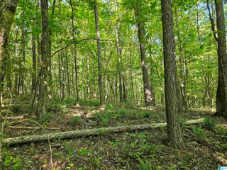 0 MARDIS LANE, Springville, AL 35146