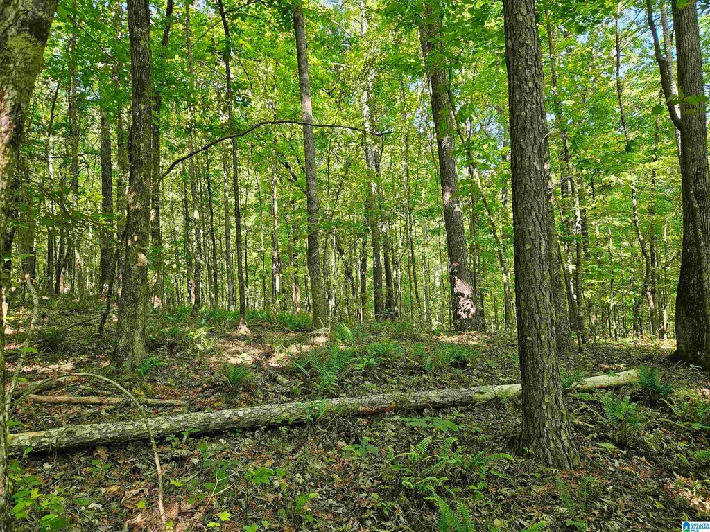 0 MARDIS LANE, Springville, AL 35146