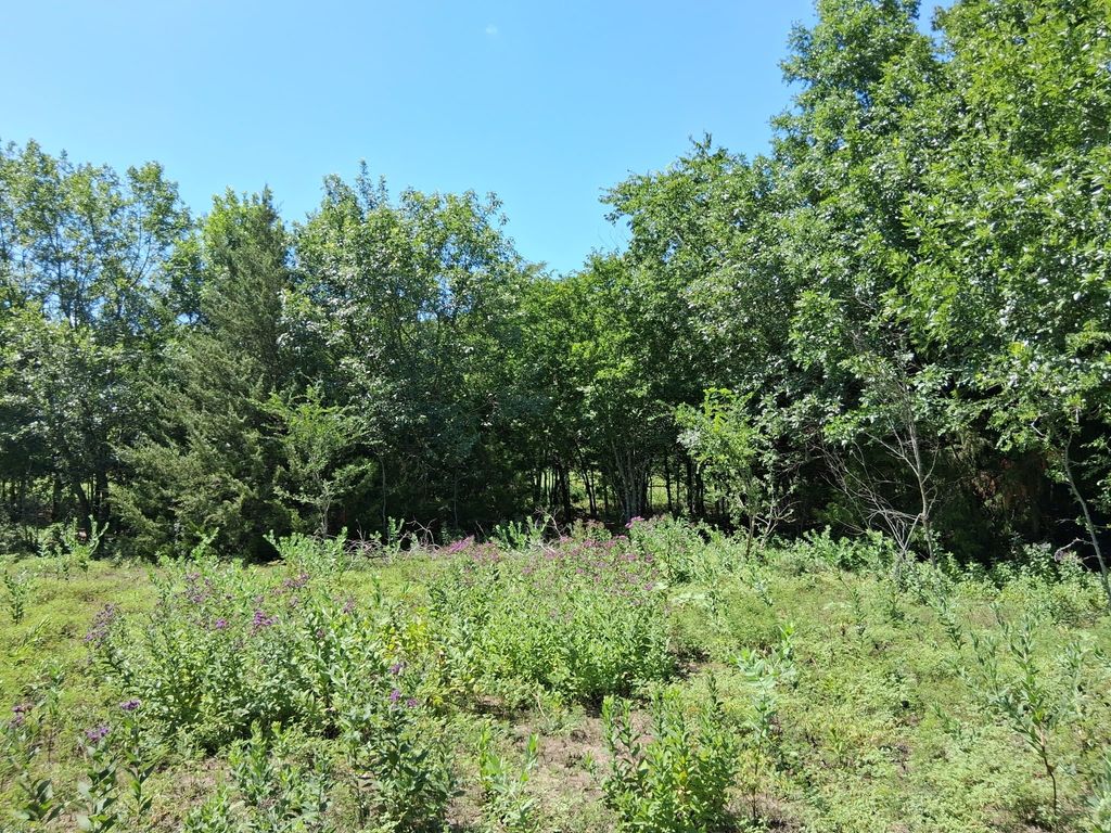 241 Texas Drive, Palmer, TX 75152