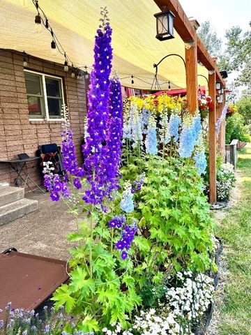 29 Border Lane 3, Bozeman, MT 59718