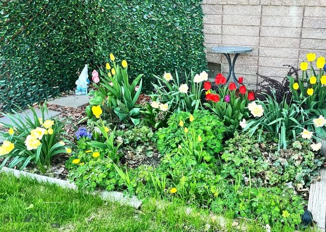 29 Border Lane 3, Bozeman, MT 59718