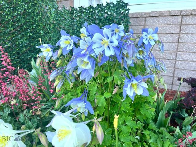 29 Border Lane 3, Bozeman, MT 59718