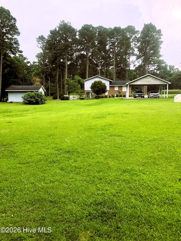 4940 Willard Road, Willard, NC 28478