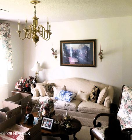 4940 Willard Road, Willard, NC 28478