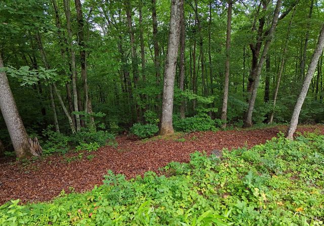 1250 Hawkview Drive, Hiawassee, GA 30546