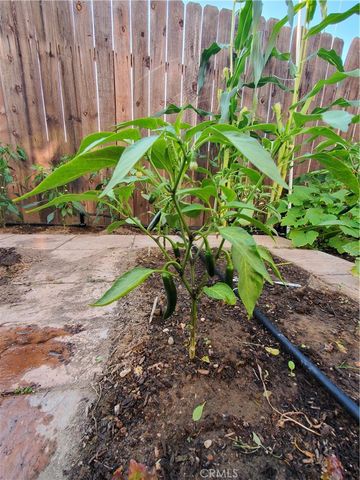 1309 Hunt Terrace, Harbor City, CA 90710