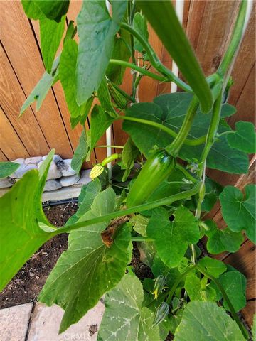 1309 Hunt Terrace, Harbor City, CA 90710